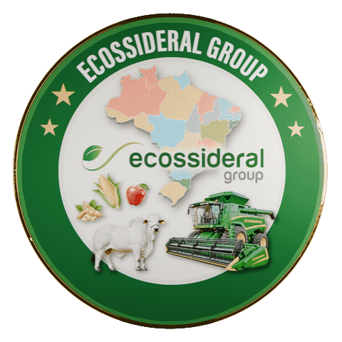Ecossideral Group Foreign Trade seal